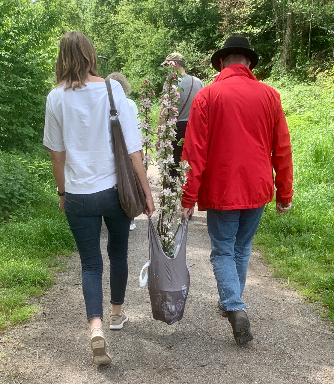 Baum auf dem Weg zum Planzort